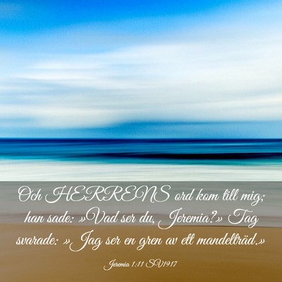 Picture 03 - Jeremia 1:11 SV1917 - Och HERRENS ord kom till mig; han sade: »Vad ser - Bible Verse Picture