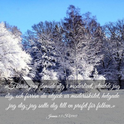 Picture 03 - Jeremia 1:5 SV1917 - »Förrän jag danade dig i moderlivet, utvalde - Bible Verse Picture