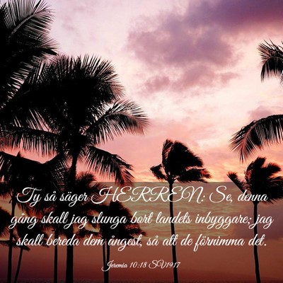 Picture 03 - Jeremia 10:18 SV1917 - Ty så säger HERREN: Se, denna gång skall jag - Bible Verse Picture