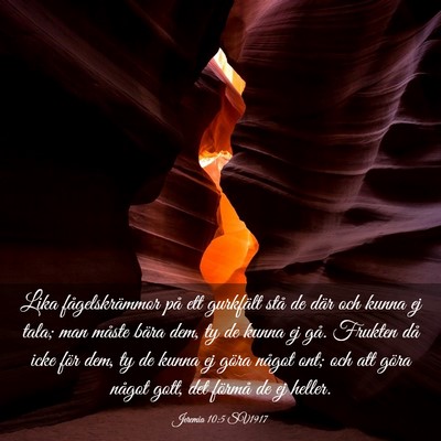 Picture 03 - Jeremia 10:5 SV1917 - Lika fågelskrämmor på ett gurkfält stå de - Bible Verse Picture
