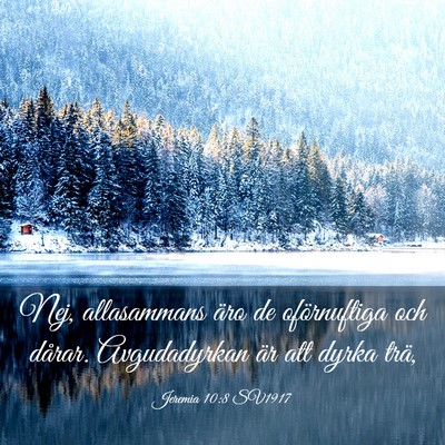 Picture 03 - Jeremia 10:8 SV1917 - Nej, allasammans äro de oförnuftiga och dårar. - Bible Verse Picture