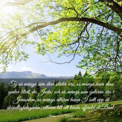 Picture 03 - Jeremia 11:13 SV1917 - Ty så många som dina städer äro, så många - Bible Verse Picture