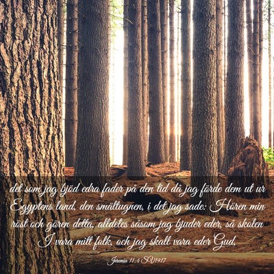 Picture 03 - Jeremia 11:4 SV1917 - det som jag bjöd edra fader på den tid då jag - Bible Verse Picture