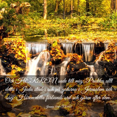 Picture 03 - Jeremia 11:6 SV1917 - Och HERREN sade till mig: Predika allt detta i - Bible Verse Picture