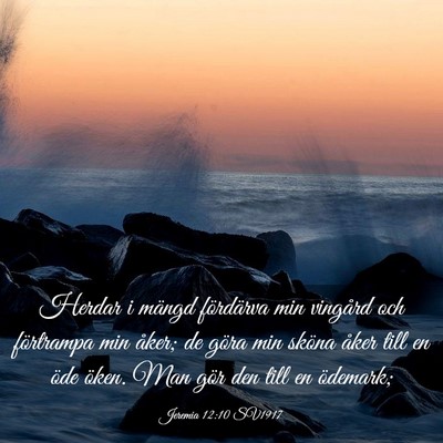 Picture 03 - Jeremia 12:10 SV1917 - Herdar i mängd fördärva min vingård och - Bible Verse Picture