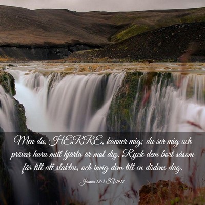 Picture 03 - Jeremia 12:3 SV1917 - Men du, HERRE, känner mig; du ser mig och - Bible Verse Picture