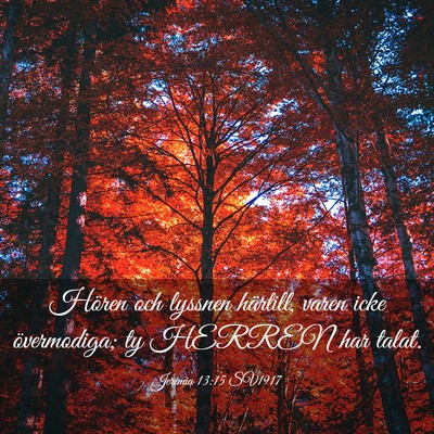 Picture 03 - Jeremia 13:15 SV1917 - Hören och lyssnen härtill, varen icke - Bible Verse Picture