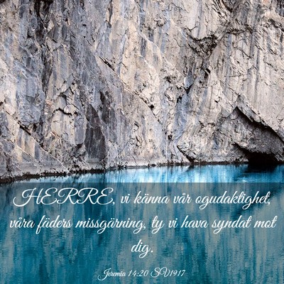 Picture 03 - Jeremia 14:20 SV1917 - HERRE, vi känna vår ogudaktighet, våra fäders - Bible Verse Picture