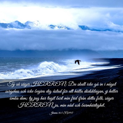 Picture 03 - Jeremia 16:5 SV1917 - Ty så säger HERREN: Du skall icke gå in i - Bible Verse Picture