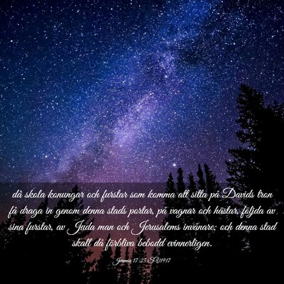Picture 03 - Jeremia 17:25 SV1917 - då skola konungar och furstar som komma att - Bible Verse Picture