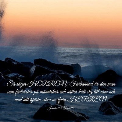 Picture 03 - Jeremia 17:5 SV1917 - Så säger HERREN: Förbannad är den man som - Bible Verse Picture