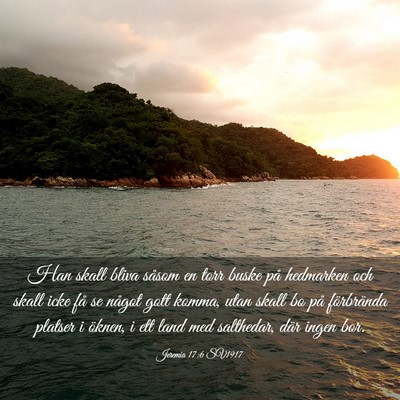 Picture 03 - Jeremia 17:6 SV1917 - Han skall bliva såsom en torr buske på - Bible Verse Picture