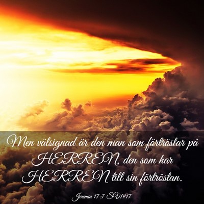 Picture 03 - Jeremia 17:7 SV1917 - Men välsignad är den man som förtröstar på - Bible Verse Picture