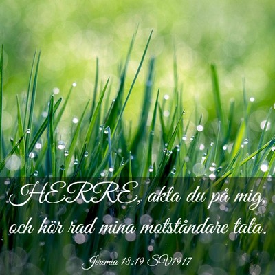 Picture 03 - Jeremia 18:19 SV1917 - HERRE, akta du på mig, och hör rad mina - Bible Verse Picture