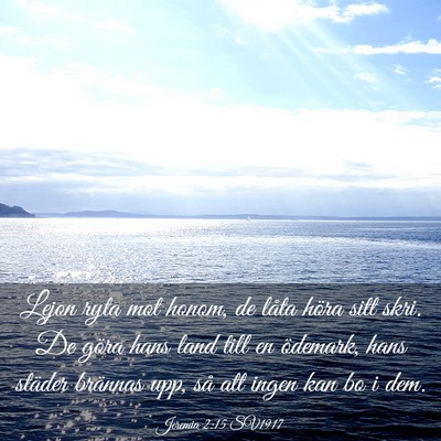 Picture 03 - Jeremia 2:15 SV1917 - Lejon ryta mot honom, de låta höra sitt skri. - Bible Verse Picture