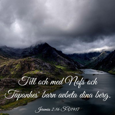 Picture 03 - Jeremia 2:16 SV1917 - Till och med Nofs och Tapanhes' barn avbeta dina - Bible Verse Picture