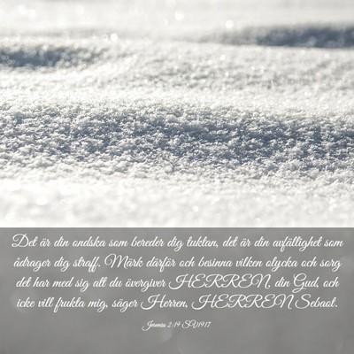 Picture 03 - Jeremia 2:19 SV1917 - Det är din ondska som bereder dig tuktan, det - Bible Verse Picture