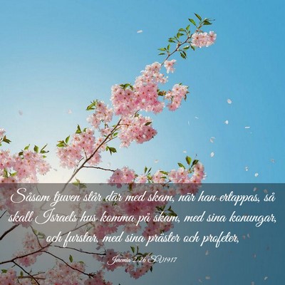 Picture 03 - Jeremia 2:26 SV1917 - Såsom tjuven står där med skam, när han - Bible Verse Picture