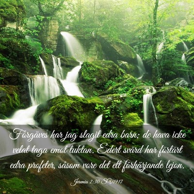 Picture 03 - Jeremia 2:30 SV1917 - Förgäves har jag slagit edra barn; de hava icke - Bible Verse Picture