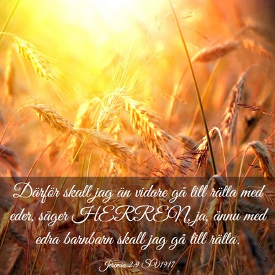 Picture 03 - Jeremia 2:9 SV1917 - Därför skall jag än vidare gå till rätta med - Bible Verse Picture