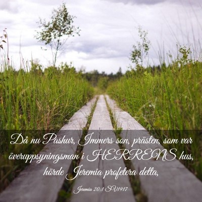 Picture 03 - Jeremia 20:1 SV1917 - Då nu Pashur, Immers son, prästen, som var - Bible Verse Picture