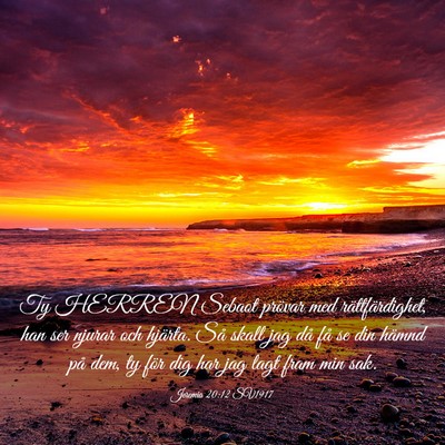 Picture 03 - Jeremia 20:12 SV1917 - Ty HERREN Sebaot prövar med rättfärdighet, han - Bible Verse Picture