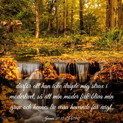Picture 03 - Jeremia 20:17 SV1917 - därför att han icke dräpte mig strax i - Bible Verse Picture