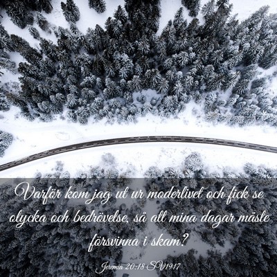 Picture 03 - Jeremia 20:18 SV1917 - Varför kom jag ut ur moderlivet och fick se - Bible Verse Picture