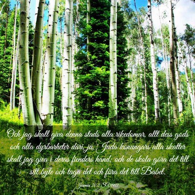 Picture 03 - Jeremia 20:5 SV1917 - Och jag skall giva denna stads alla rikedomar, - Bible Verse Picture