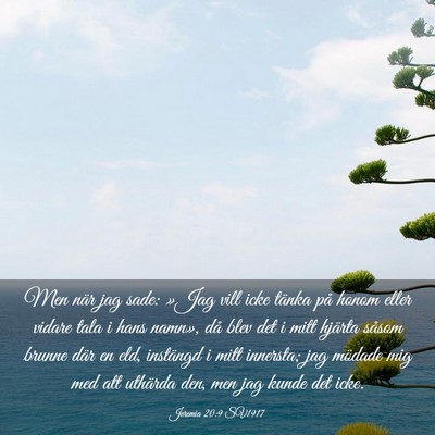Picture 03 - Jeremia 20:9 SV1917 - Men när jag sade: »Jag vill icke tänka på - Bible Verse Picture