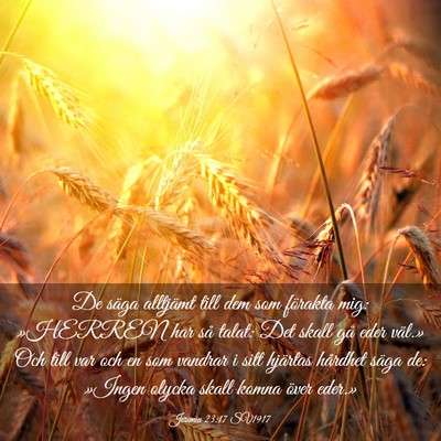 Picture 03 - Jeremia 23:17 SV1917 - De säga alltjämt till dem som förakta mig: - Bible Verse Picture