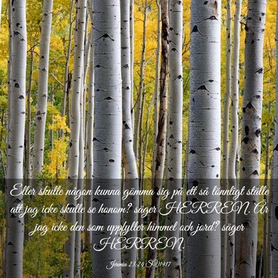 Picture 03 - Jeremia 23:24 SV1917 - Eller skulle någon kunna gömma sig på ett så - Bible Verse Picture