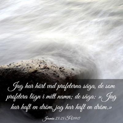 Picture 03 - Jeremia 23:25 SV1917 - Jag har hört vad profeterna säga, de som - Bible Verse Picture
