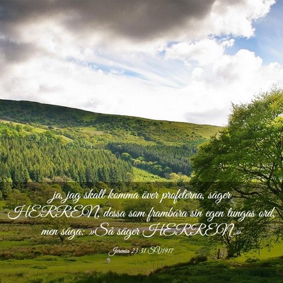 Picture 03 - Jeremia 23:31 SV1917 - ja, jag skall komma över profeterna, säger - Bible Verse Picture