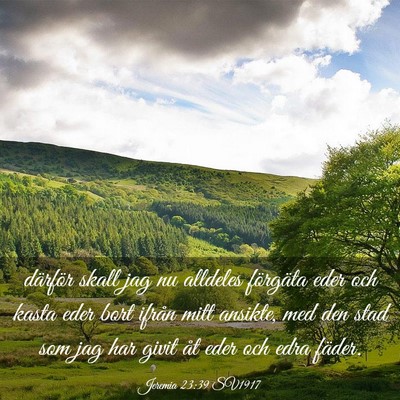 Picture 03 - Jeremia 23:39 SV1917 - därför skall jag nu alldeles förgäta eder och - Bible Verse Picture