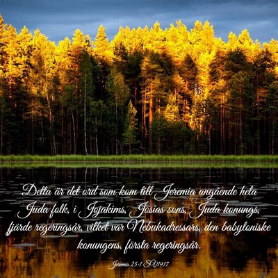 Picture 03 - Jeremia 25:1 SV1917 - Detta är det ord som kom till Jeremia angående - Bible Verse Picture