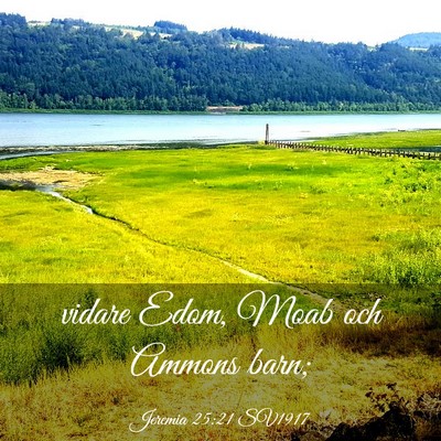 Picture 03 - Jeremia 25:21 SV1917 - vidare Edom, Moab och Ammons - Bible Verse Picture