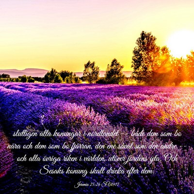 Picture 03 - Jeremia 25:26 SV1917 - slutligen alla konungar i nordlandet -- både dem - Bible Verse Picture