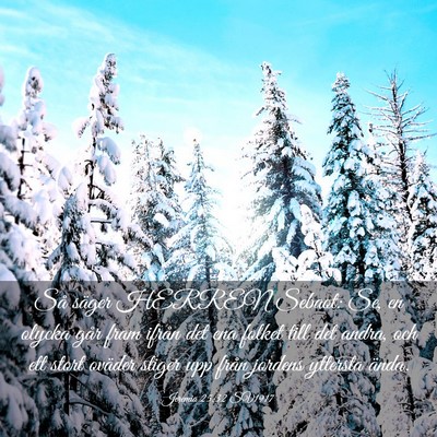 Picture 03 - Jeremia 25:32 SV1917 - Så säger HERREN Sebaot: Se, en olycka går fram - Bible Verse Picture