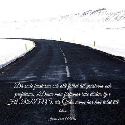 Picture 03 - Jeremia 26:16 SV1917 - Då sade furstarna och allt folket till - Bible Verse Picture