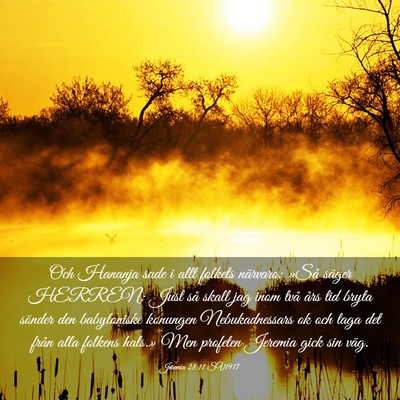 Picture 03 - Jeremia 28:11 SV1917 - Och Hananja sade i allt folkets närvaro: »Så - Bible Verse Picture