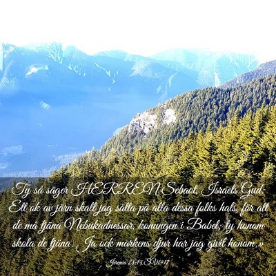 Picture 03 - Jeremia 28:14 SV1917 - Ty så säger HERREN Sebaot, Israels Gud: Ett ok - Bible Verse Picture