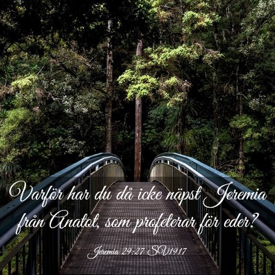 Picture 03 - Jeremia 29:27 SV1917 - Varför har du då icke näpst Jeremia från - Bible Verse Picture