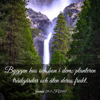 Picture 03 - Jeremia 29:5 SV1917 - Byggen hus och bon i dem; planteren trädgårdar - Bible Verse Picture