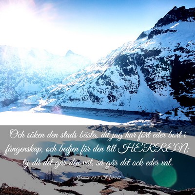 Picture 03 - Jeremia 29:7 SV1917 - Och söken den stads bästa, dit jag har fört - Bible Verse Picture