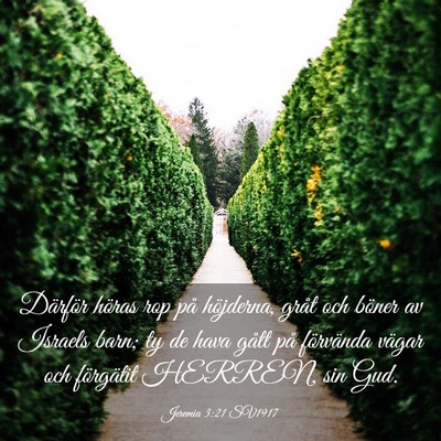 Picture 03 - Jeremia 3:21 SV1917 - Därför höras rop på höjderna, gråt och - Bible Verse Picture