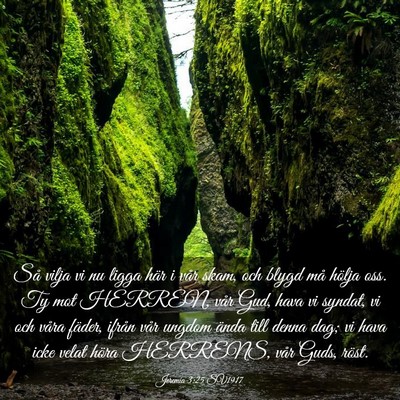 Picture 03 - Jeremia 3:25 SV1917 - Så vilja vi nu ligga här i vår skam, och blygd - Bible Verse Picture