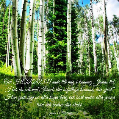 Picture 03 - Jeremia 3:6 SV1917 - Och HERREN sade till mig i konung Josias tid: Har - Bible Verse Picture