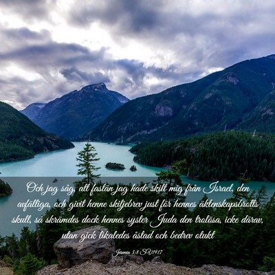 Picture 03 - Jeremia 3:8 SV1917 - Och jag såg, att fastän jag hade skilt mig - Bible Verse Picture