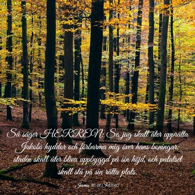 Picture 03 - Jeremia 30:18 SV1917 - Så säger HERREN: Se, jag skall åter upprätta - Bible Verse Picture